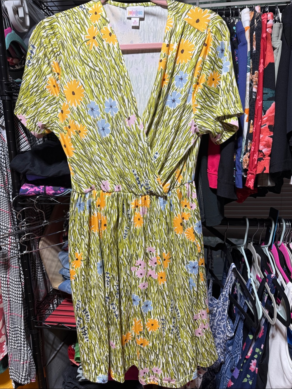 Lularoe medium chantale dress
